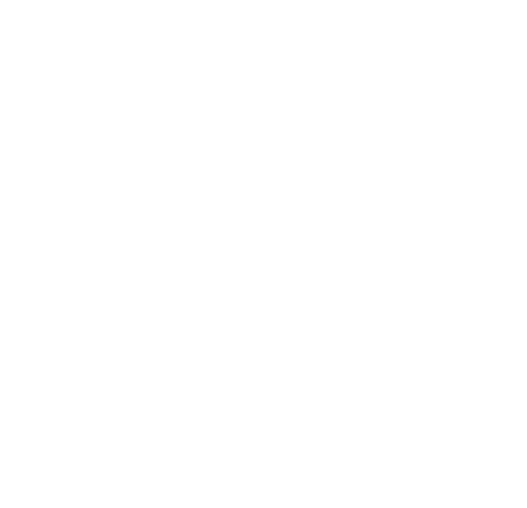 logo pago pa